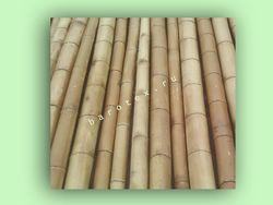 Стволы из бамбука Ф7-8 - L 200 cm 880268